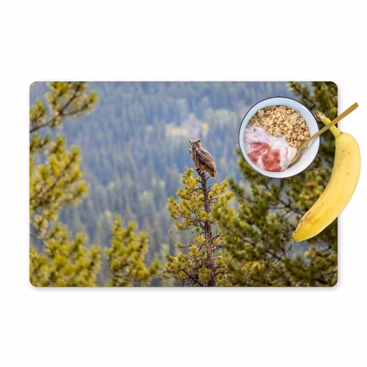 Tovaglietta – 6 pezzi - Gufo - Gufo reale - Alberi - Natura — 1
