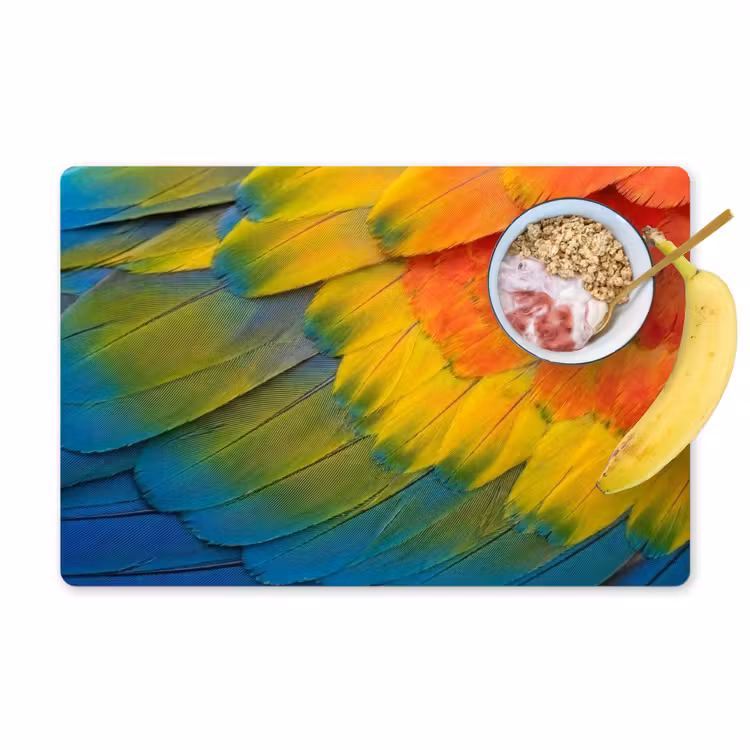 Tovaglietta – 6 pezzi - Piume - Ara - Colorate — 1