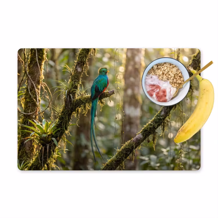 Tovaglietta – 6 pezzi - Quetzal - Giungla - Natura - Verde — 1