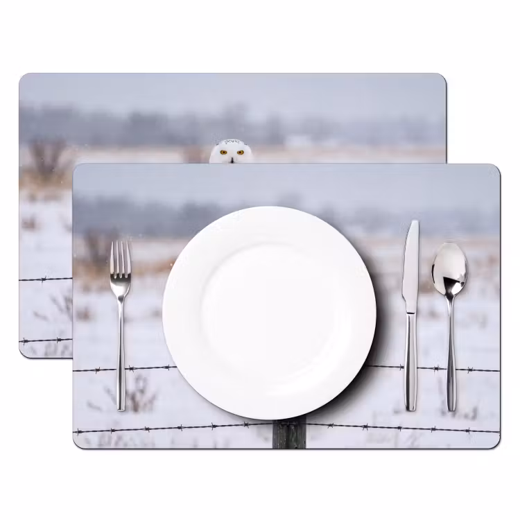 Tovaglietta – 6 pezzi - Gufo delle nevi - Recinto - Neve - Bianco — 2