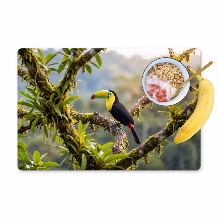 Tovaglietta – 6 pezzi - Tucano - Giungla - Natura - Colorato — 1