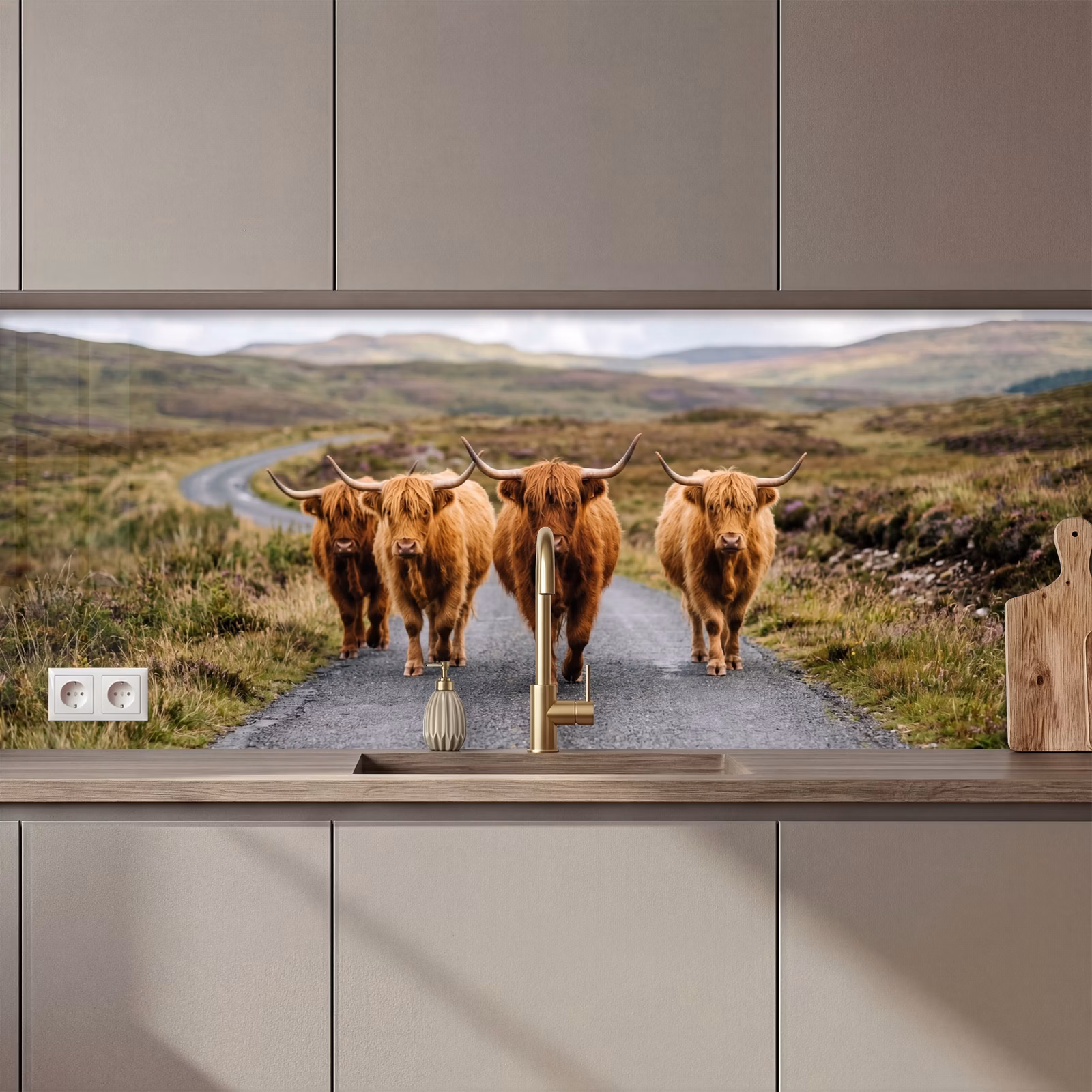 Schienale cucina - Highlander scozzesi - Strada - Paesaggio - Mandria — 1