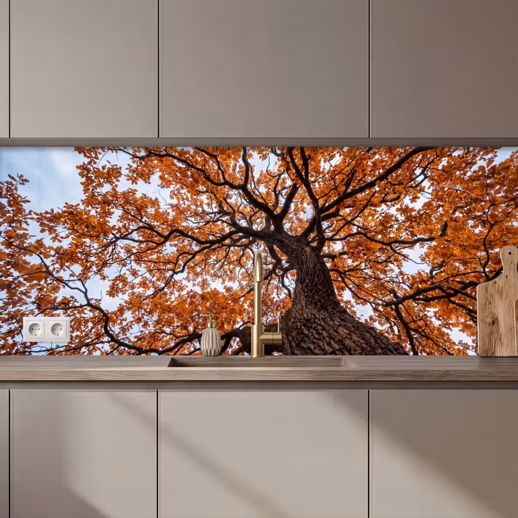 Schienale cucina - Albero - Chioma - Autunno - Arancione - Atmosferico — 1