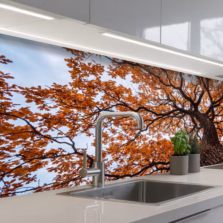 Schienale cucina - Albero - Chioma - Autunno - Arancione - Atmosferico — 2