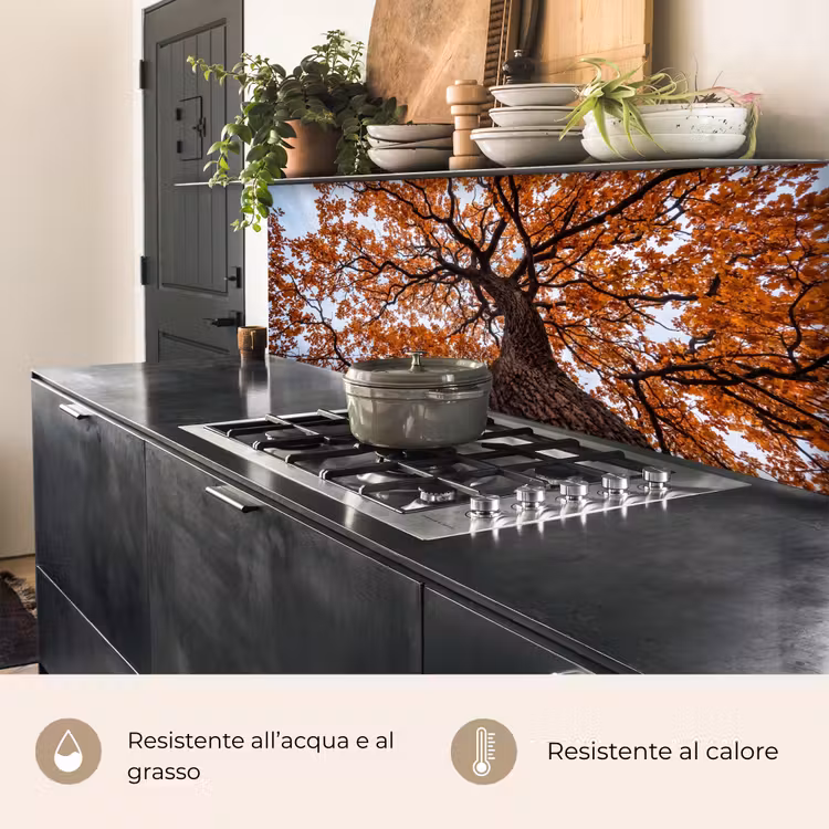 Schienale cucina - Albero - Chioma - Autunno - Arancione - Atmosferico — 5