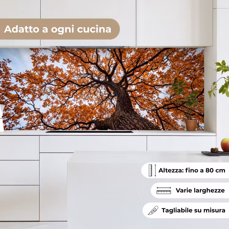 Schienale cucina - Albero - Chioma - Autunno - Arancione - Atmosferico — 7