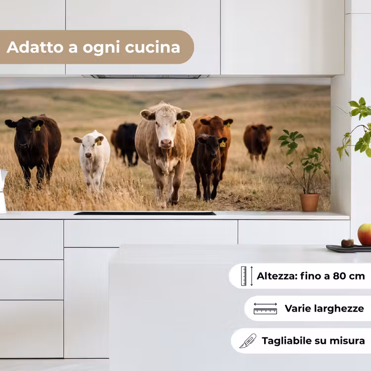 Schienale cucina - Bestiame - Mandria - Paesaggio - Prato - Tranquillità — 7