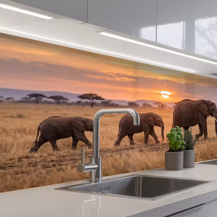 Schienale cucina - Elefanti - Savana - Tramonto - Africa - Caldo — 2