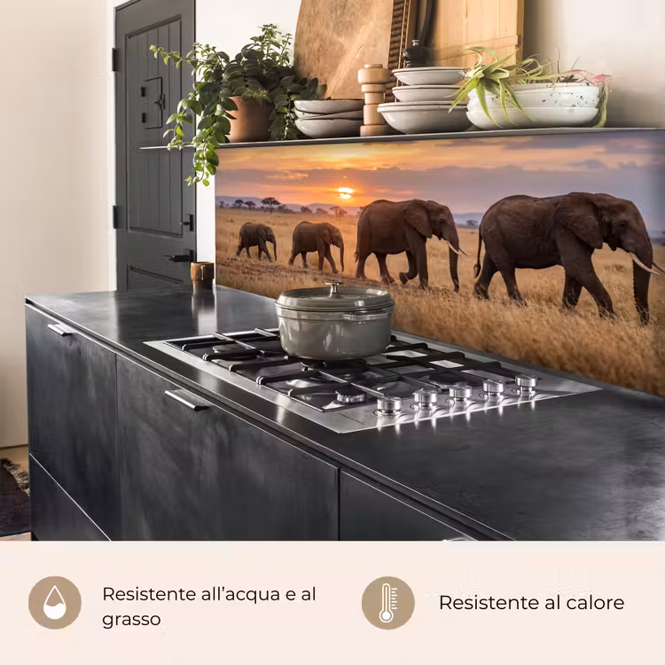 Schienale cucina - Elefanti - Savana - Tramonto - Africa - Caldo — 5