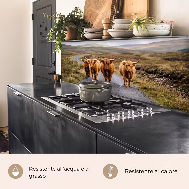 Schienale cucina - Highlander scozzesi - Strada - Paesaggio - Mandria — 5