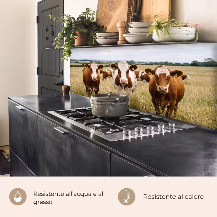 Schienale cucina - Mucche - Ritratto - Prato - Fattoria - Curioso — 5