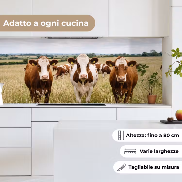 Schienale cucina - Mucche - Ritratto - Prato - Fattoria - Curioso — 7