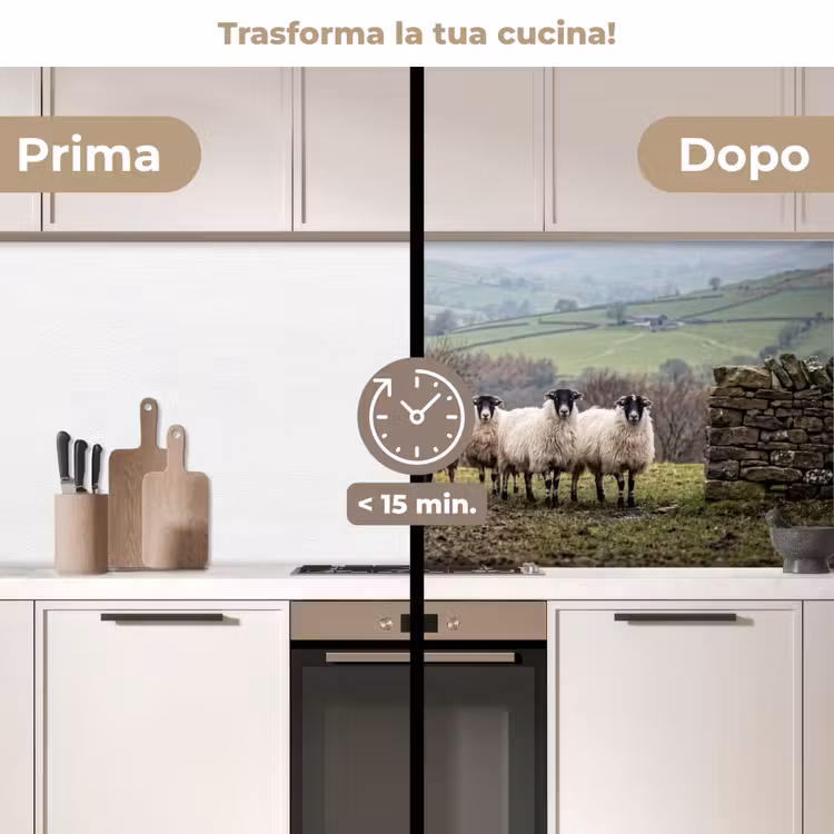 Schienale cucina - Pecore - Filare - Pascolo - Animali - Campagna — 3
