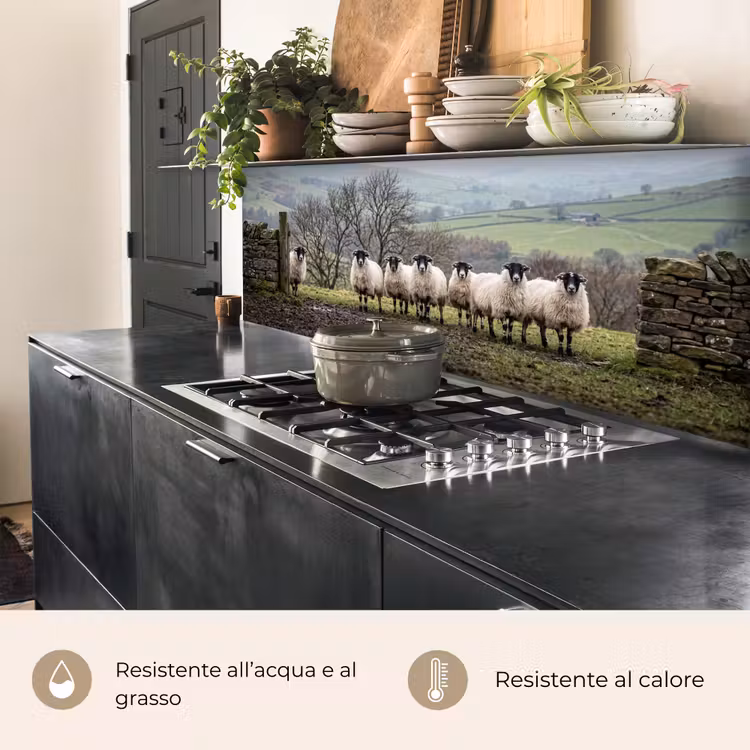 Schienale cucina - Pecore - Filare - Pascolo - Animali - Campagna — 5