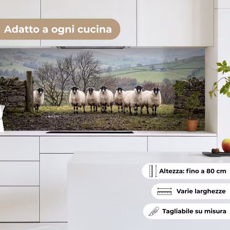 Schienale cucina - Pecore - Filare - Pascolo - Animali - Campagna — 7