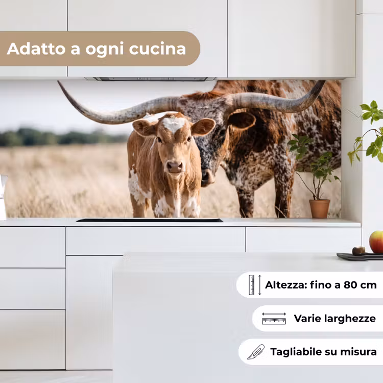 Schienale cucina - Texas Longhorn - Vitello - Pascolo - Animali — 7