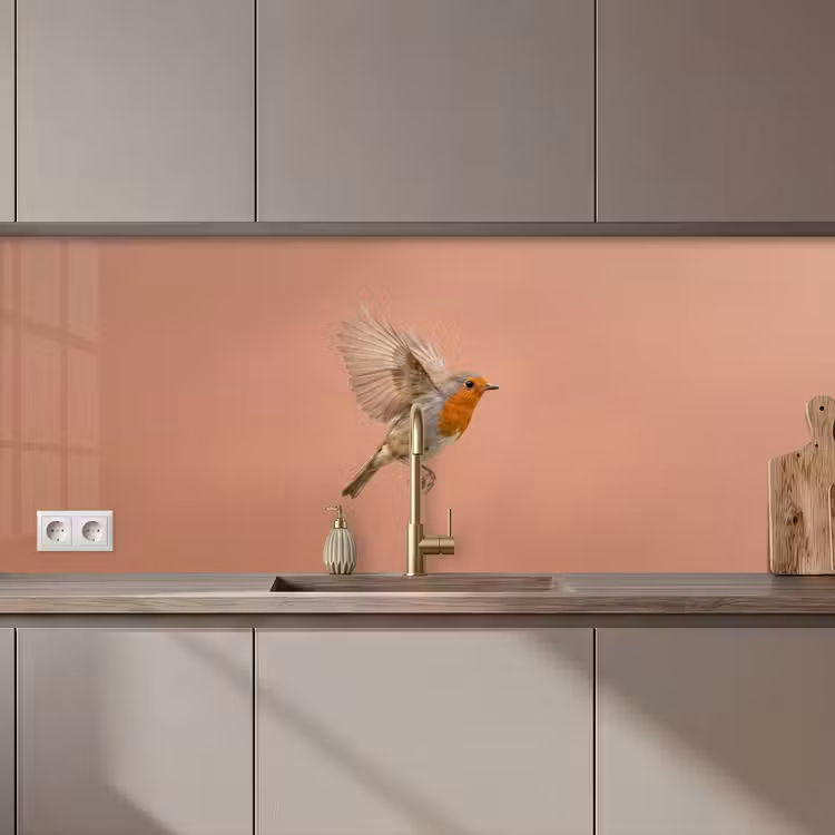 Schienale cucina - Pettirosso - Natura - Rosa — 1