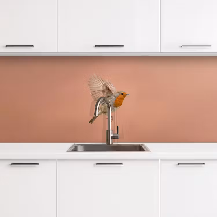 Schienale cucina - Pettirosso - Natura - Rosa — 4