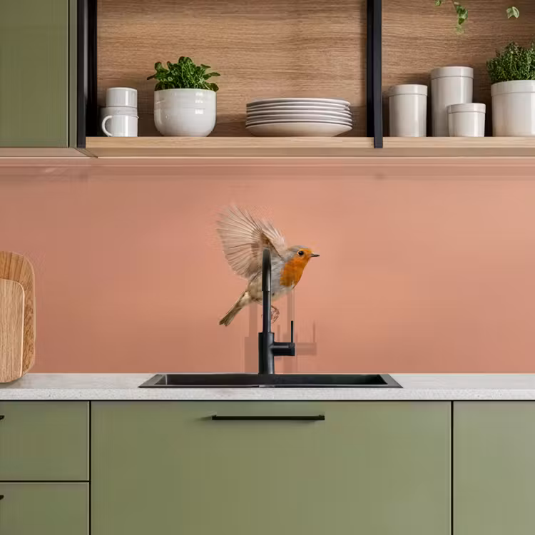 Schienale cucina - Pettirosso - Natura - Rosa — 8