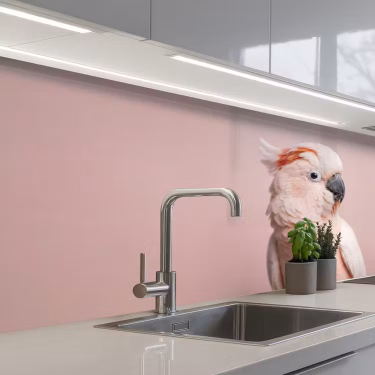 Schienale cucina - Cacatua - Ritratto - Rosa — 2