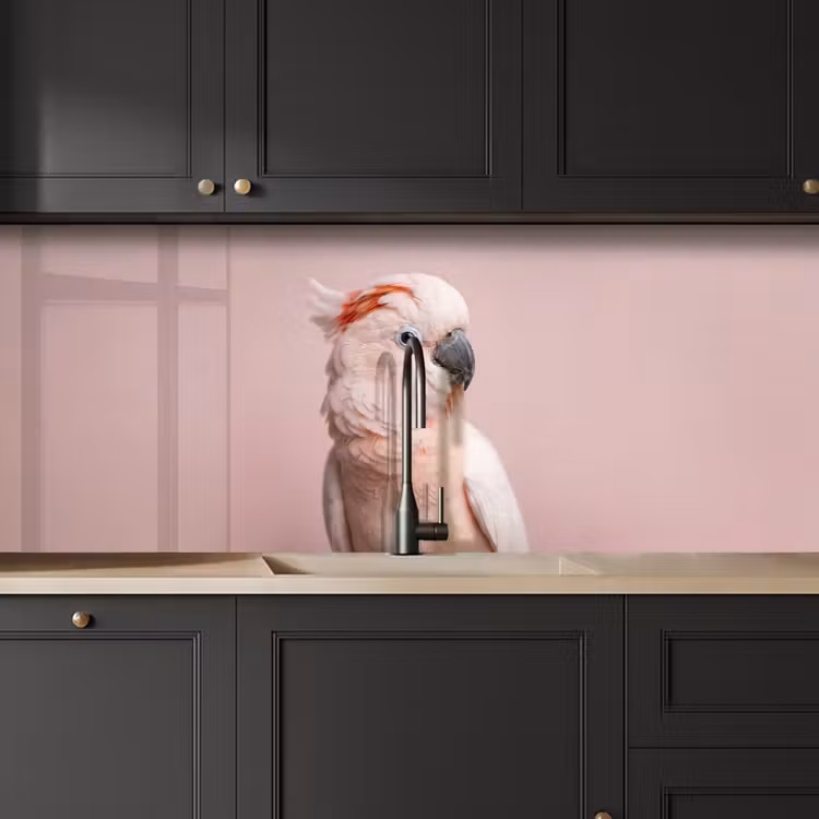 Schienale cucina - Cacatua - Ritratto - Rosa — 6