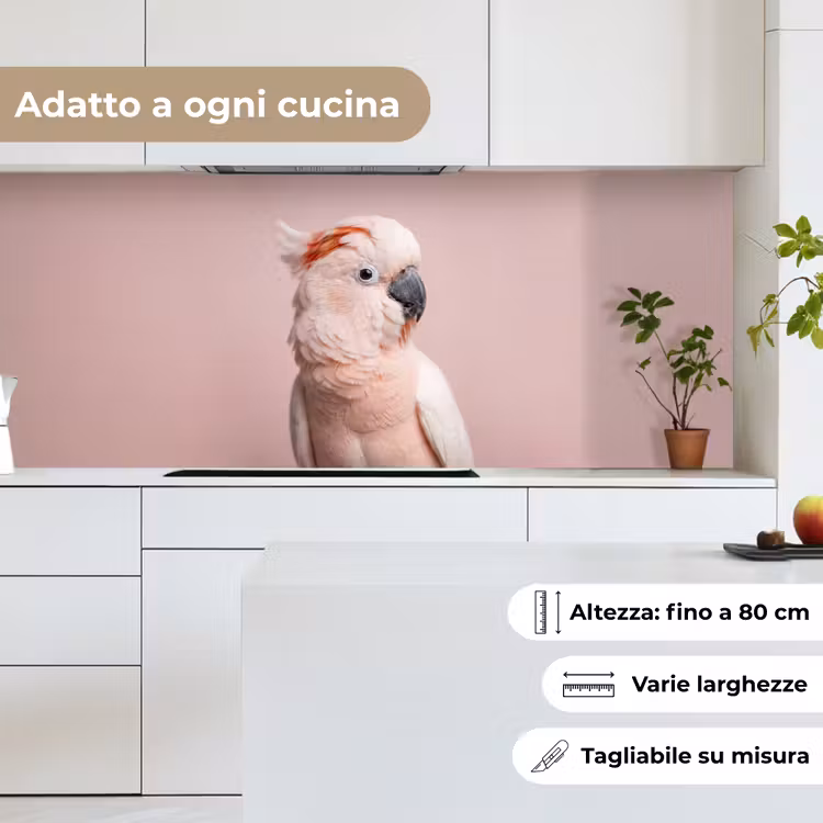 Schienale cucina - Cacatua - Ritratto - Rosa — 7