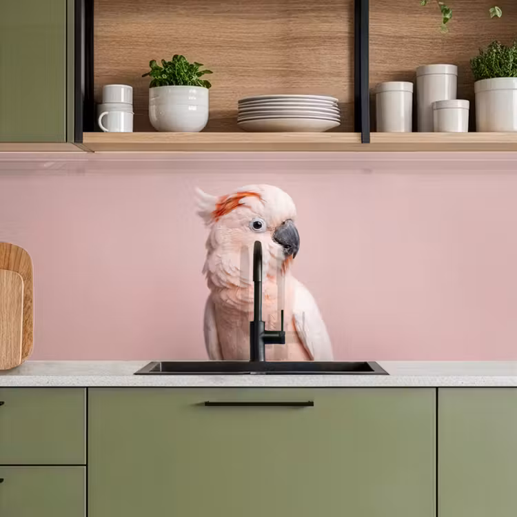Schienale cucina - Cacatua - Ritratto - Rosa — 8