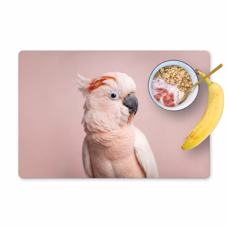 Tovaglietta – 6 pezzi - Cacatua - Ritratto - Rosa — 1