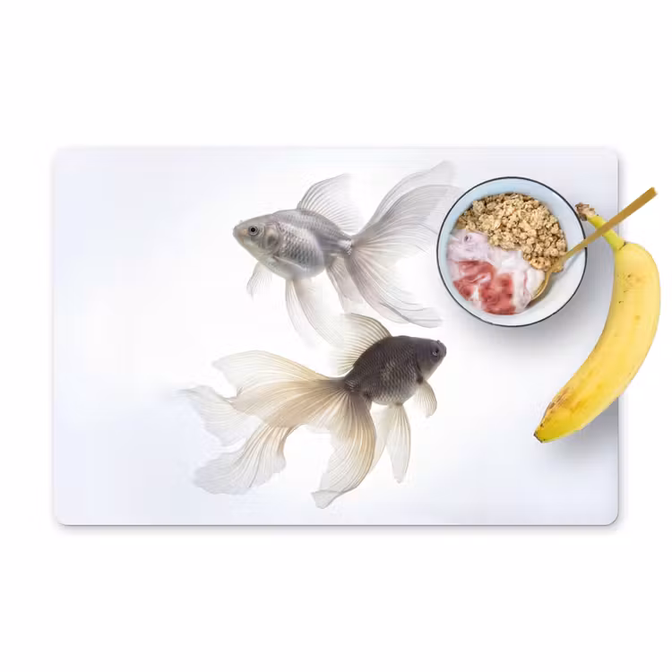 Tovaglietta – 6 pezzi - Pesce rosso - Moderno - Bianco — 1