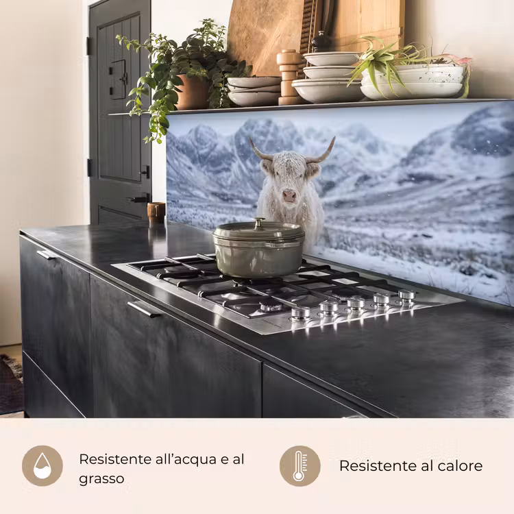 Schienale cucina - Highlander scozzese - Neve - Montagne - Inverno — 5