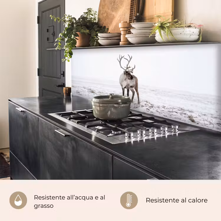 Schienale cucina - Renna - Corna - Neve - Inverno — 5