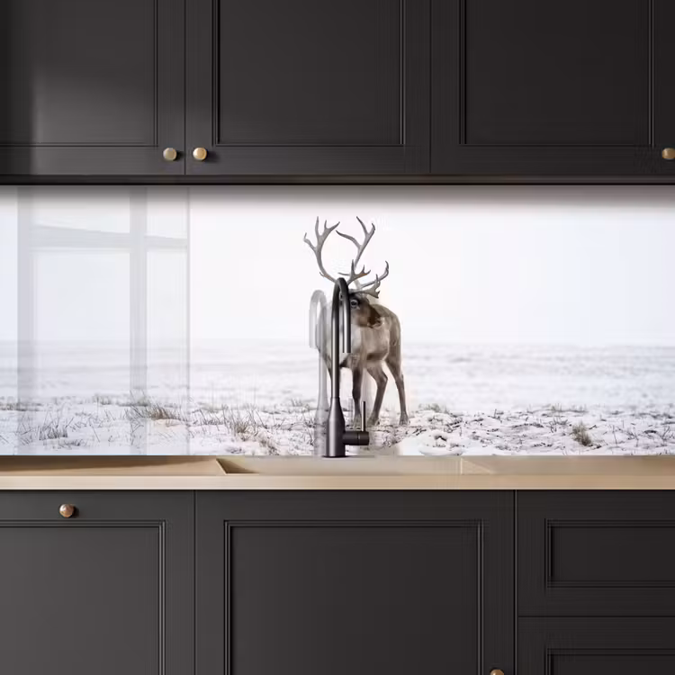 Schienale cucina - Renna - Corna - Neve - Inverno — 6