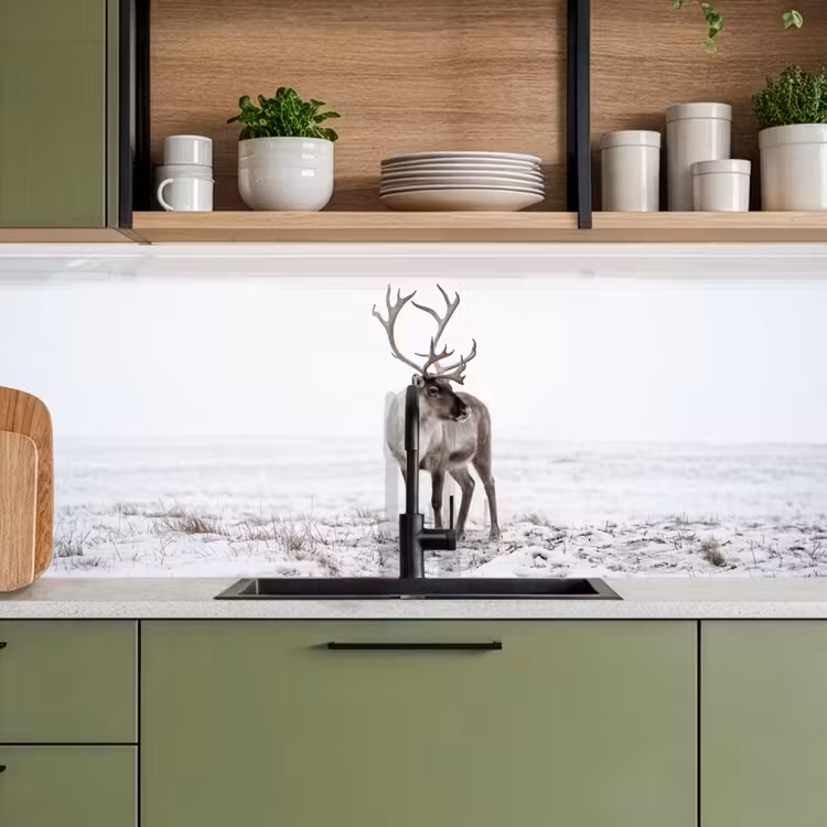 Schienale cucina - Renna - Corna - Neve - Inverno — 8