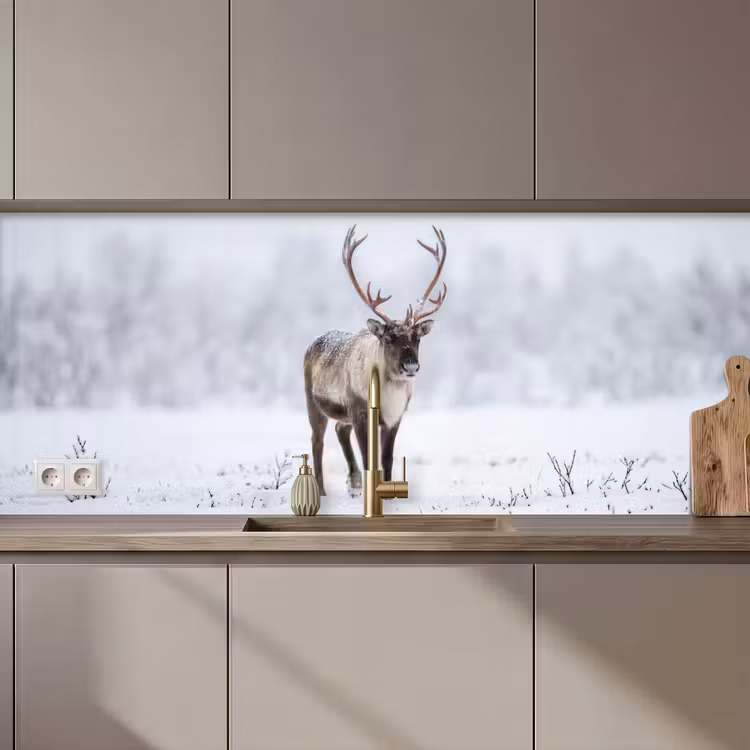 Schienale cucina - Renna - Corna - Tundra - Neve - Selvaggio — 1