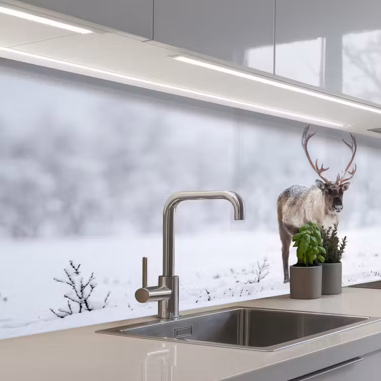Schienale cucina - Renna - Corna - Tundra - Neve - Selvaggio — 2