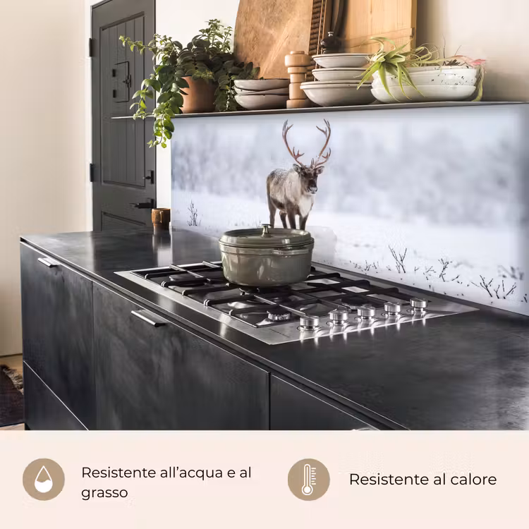 Schienale cucina - Renna - Corna - Tundra - Neve - Selvaggio — 5