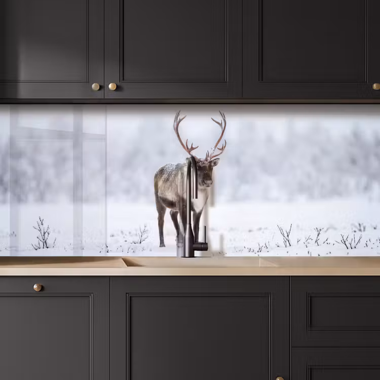 Schienale cucina - Renna - Corna - Tundra - Neve - Selvaggio — 6