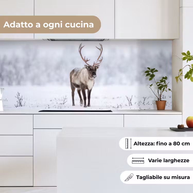 Schienale cucina - Renna - Corna - Tundra - Neve - Selvaggio — 7