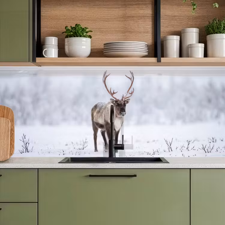 Schienale cucina - Renna - Corna - Tundra - Neve - Selvaggio — 8