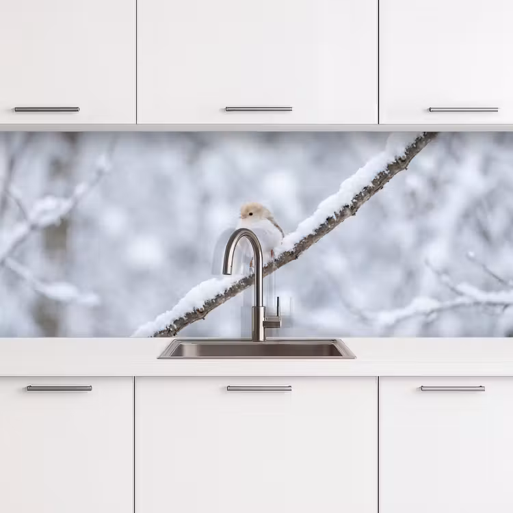 Schienale cucina - Uccello - Neve - Ramo - Inverno - Morbido — 4