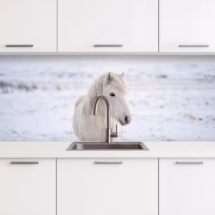 Schienale cucina - Cavallo - Testa - Inverno - Animali - Bianco — 4