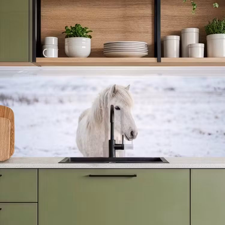 Schienale cucina - Cavallo - Testa - Inverno - Animali - Bianco — 8