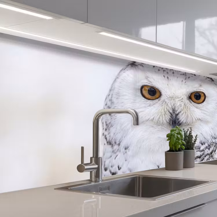 Schienale cucina - Gufo delle nevi - Occhio - Fauna selvatica - Bianco — 2