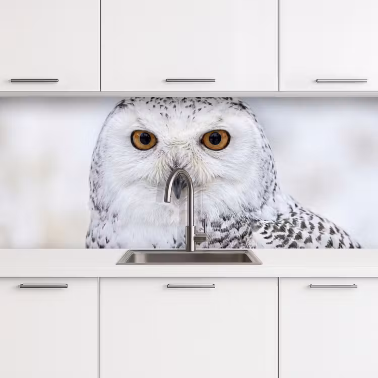 Schienale cucina - Gufo delle nevi - Occhio - Fauna selvatica - Bianco — 4