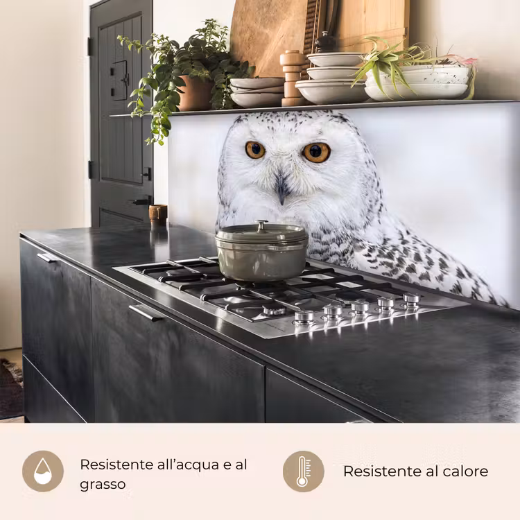 Schienale cucina - Gufo delle nevi - Occhio - Fauna selvatica - Bianco — 5
