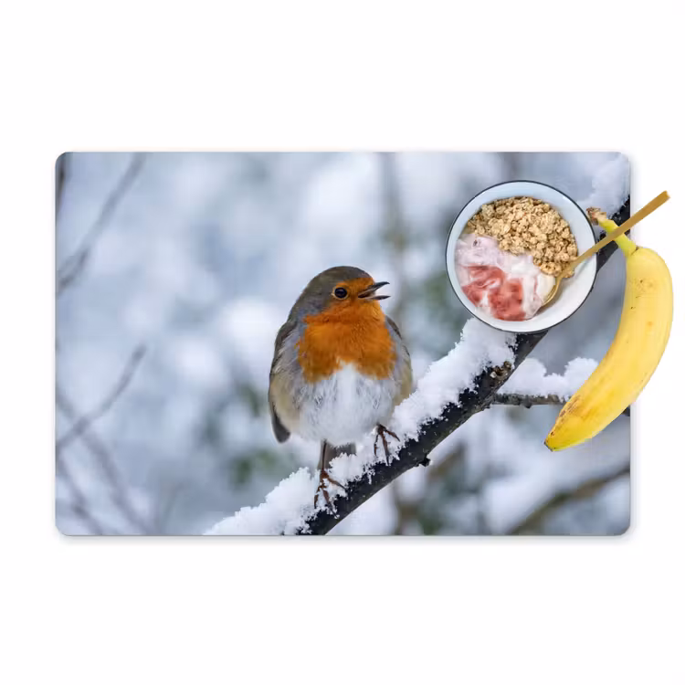 Tovaglietta – 6 pezzi - Pettirosso - Ramo - Neve - Inverno - Vivace — 1