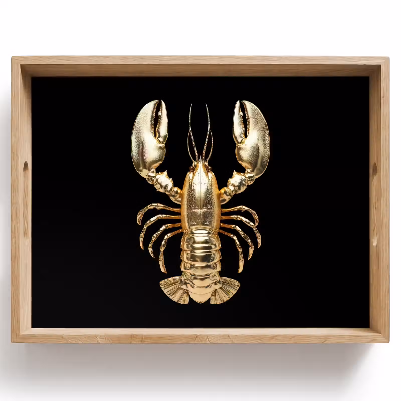 Vassoio - Cancro - Oro - Struttura - Nero — 1