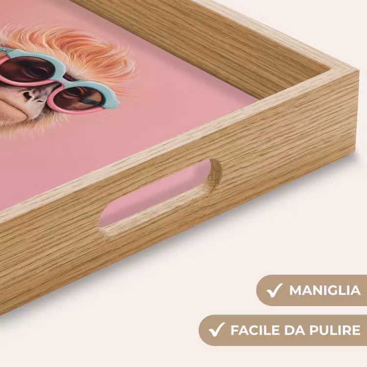 Vassoio - Sciarpa - Scimmia - Occhiali da sole - Giacca — 8