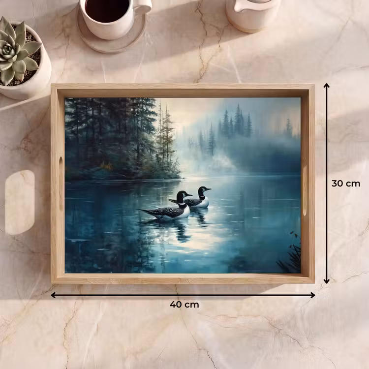 Vassoio - Foresta - Acqua - Anatre - Nebbia — 7