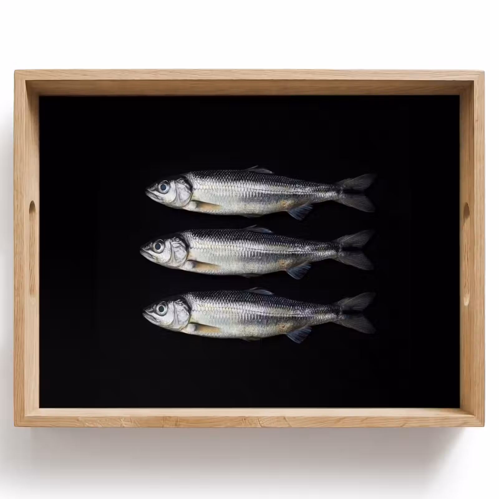 Vassoio - Aringa - Pesce - Nero — 1